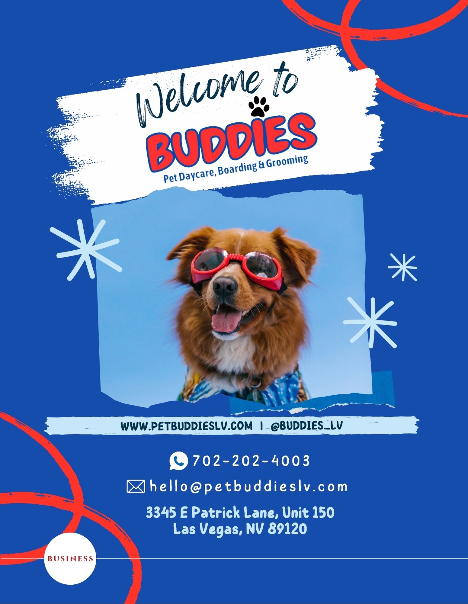Buddies: Where Pets Feel at Home in Las Vegas